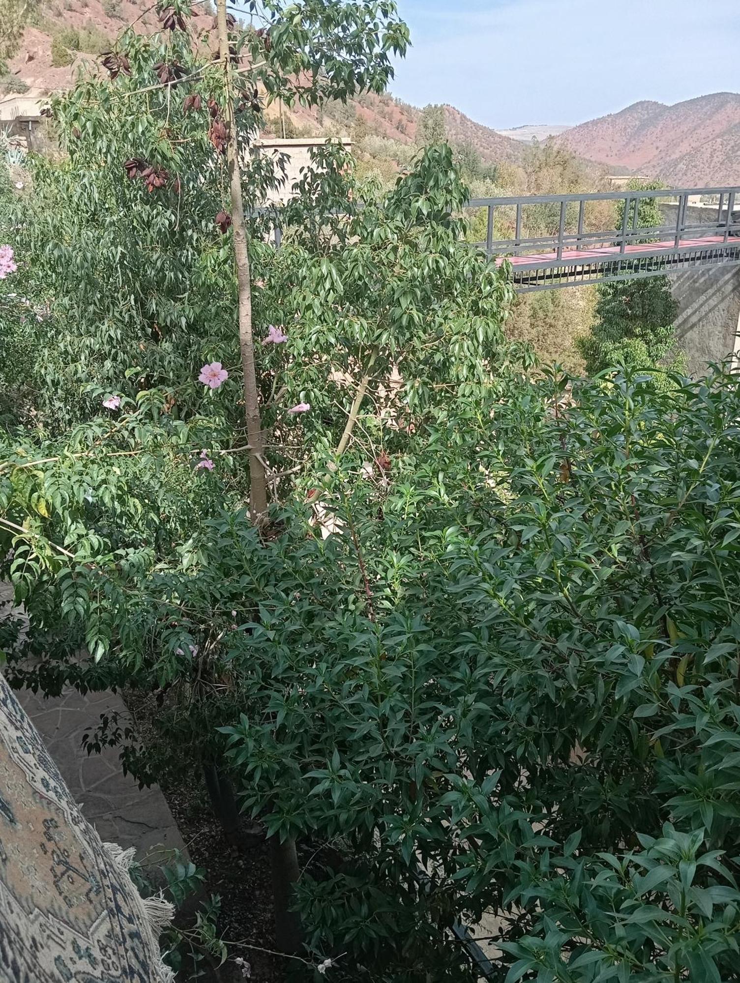 Dar Soulaimane Hotell Asguine Exteriör bild